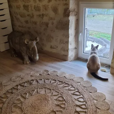 Quarto em Acomodações Particulares Kaabi Marina Colomby