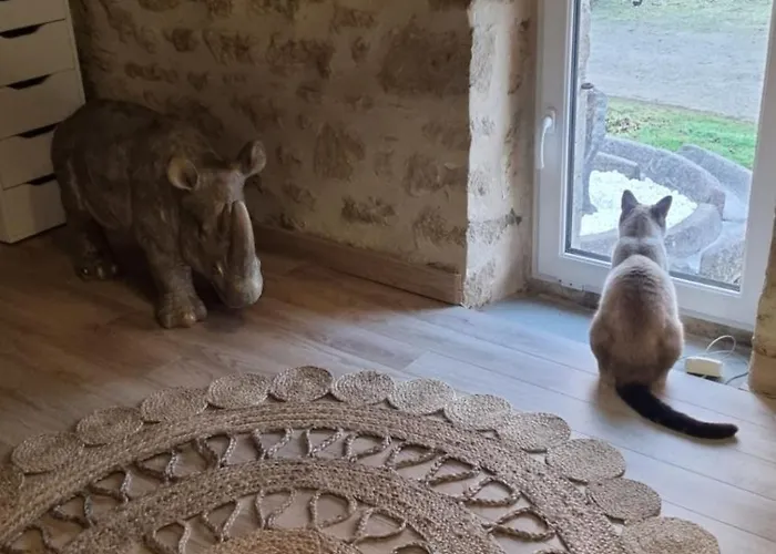 Kwatera prywatna Kaabi Colomby